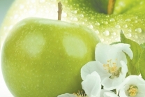 Manzana verde