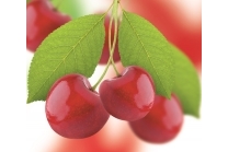 Cereza