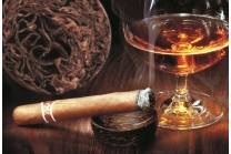 Anti-tobacco